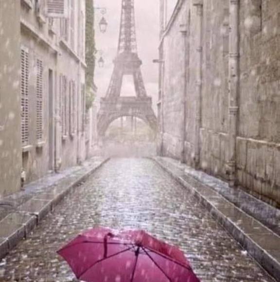 Meet your Posher, Laura - Picture 1 of 1